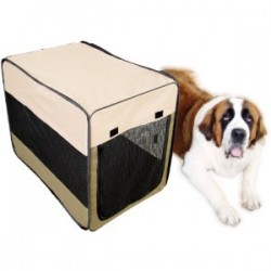 Is your pet ready for dogs boarding kennels